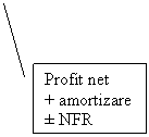 Line Callout 2: Profit net
+ amortizare
 NFR
