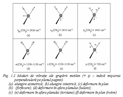 Text Box: 
Fig. 1.2 Moduri de vibratie ale gruparii metilen (+ si - indica miscarea perpendiculara pe planul paginii).
(a) alungire asimetrica; (b) alungire simetrica; (c) deformare in plan
(b) (forfecare); (d) deformare in afara planului (balans); 
(c) (e) deformare in afara planului (torsiune);(f) deformare in plan (rotire).

