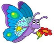 Cute butterfly holding flower