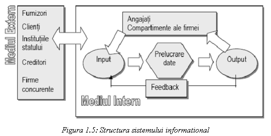 Text Box: 
Figura 1.5: Structura sistemului informational
