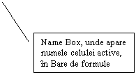 Line Callout 2: Name Box, unde apare numele celulei active, n Bare de formule