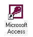 Icon-ul Access