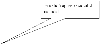 Rectangular Callout: In celula apare rezultatul calculat