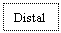 Text Box: Distal