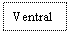 Text Box: Ventral