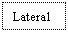 Text Box: Lateral