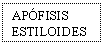 Text Box: APFISIS ESTILOIDES