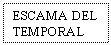 Text Box: ESCAMA DEL TEMPORAL