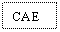 Text Box: CAE