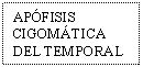 Text Box: APFISIS CIGOMTICA DEL TEMPORAL