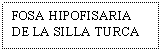 Text Box: FOSA HIPOFISARIA DE LA SILLA TURCA