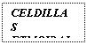 Text Box: CELDILLAS ETMOIDALES