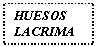 Text Box: HUESOS LACRIMALES