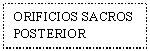 Text Box: ORIFICIOS SACROS POSTERIOR