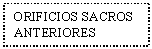 Text Box: ORIFICIOS SACROS ANTERIORES