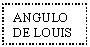 Text Box: ANGULO DE LOUIS