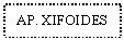Text Box: AP. XIFOIDES