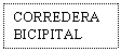 Text Box: CORREDERA BICIPITAL