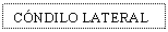 Text Box: CNDILO LATERAL