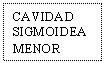 Text Box: CAVIDAD SIGMOIDEA MENOR
