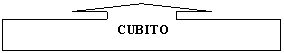 Up Arrow Callout:    CUBITO