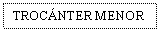 Text Box: TROCNTER MENOR