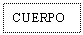 Text Box: CUERPO