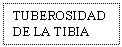 Text Box: TUBEROSIDAD DE LA TIBIA