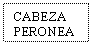 Text Box: CABEZA PERONEA