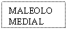 Text Box: MALEOLO MEDIAL
