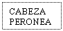 Text Box: CABEZA PERONEA