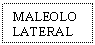 Text Box: MALEOLO LATERAL