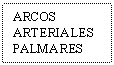 Text Box: ARCOS ARTERIALES PALMARES