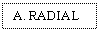 Text Box: A. RADIAL