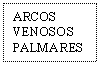 Text Box: ARCOS VENOSOS PALMARES