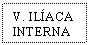 Text Box: V. ILACA INTERNA