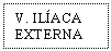 Text Box: V. ILACA EXTERNA