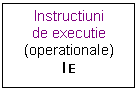 Text Box: Instructiuni
de executie
(operationale)
I E
