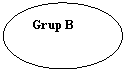 Oval: Grup B