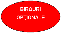 Oval: BIROURI OPTIONALE

