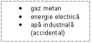 Text Box: .	gaz metan
.	energie electrica
.	apa industriala (accidental)
