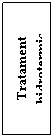Text Box: Tratament hidrotermic