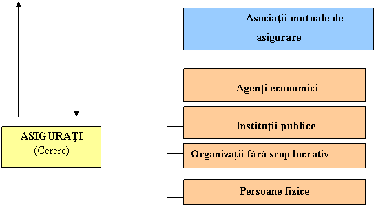 Text Box: Persoane fizice