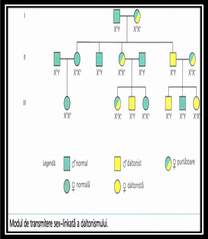 C:Documents and SettingsLaurentiuMy Documentspicture grneticaPicture26.png