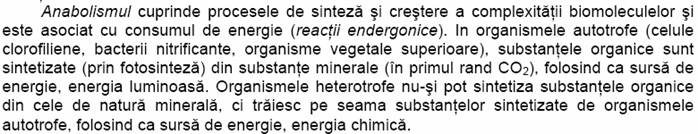 C:UsersYoDocumentsPrintScreen Files1.bmp