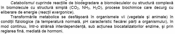 C:UsersYoDocumentsPrintScreen Files2.bmp