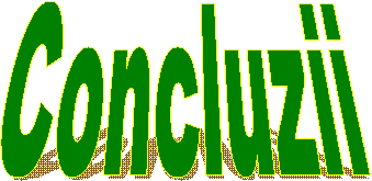 Concluzii