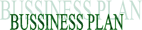 BUSSINESS PLAN