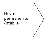 Right Arrow: Nevoi permanente (stabile)