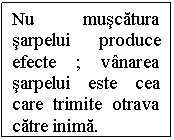 Text Box: Nu muscatura sarpelui produce efecte ; vnarea sarpelui este cea care trimite otrava catre inima.
ul meu a mers n alte cteva calatorii n urmatoarele luni. nceram sa fiu mai pozitiva n interactiunile cu el.  Ma straduiam din greu sa mi controlez gndurile si sentimentele. Dar de fiecare daca cnd plecam ma panicam n suflet. Stressul emotional a devenit att de intens nct n perioadele cnd era plecat nu puteam nici mnca, nici dormi. si orict ma straduiam , nimic nu parea sa mi arate ca situatia se mbunatatea.

